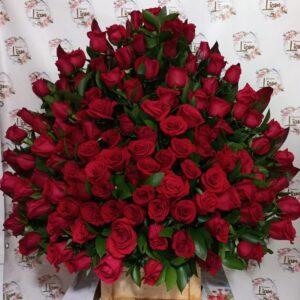 rosas rojas para cumpleaños medellin 