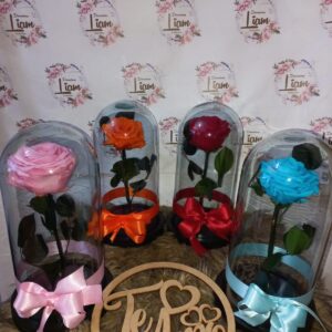 Rosas inmortalizadas en bello